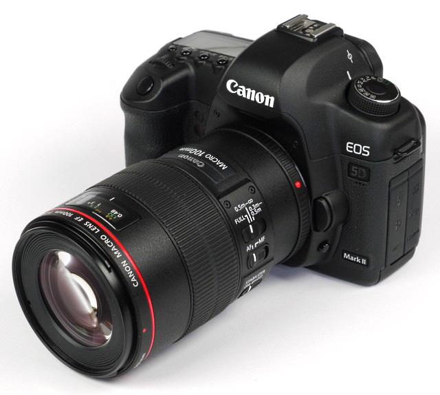 Canon 100mm F2.8L IS USM_31.jpg