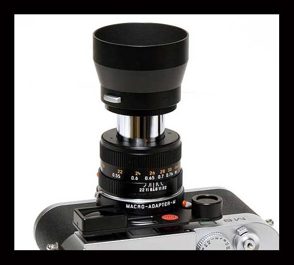 Leica Macro-Elmar-M 90 mm F4_17.jpg